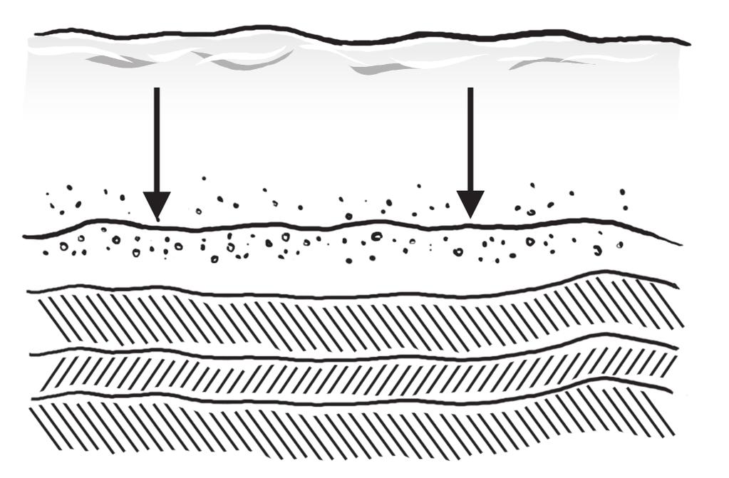 One kind of sedimentary rock is formed from layers of sediments. Pressure causes the water around the sediments to be squeezed out and the sediments are pushed together.