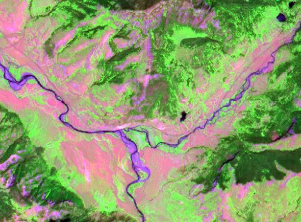 b) The first image classification result of the ASTER subset (black = unclassified, red = rock/exposed soil, blue = water/shadow, dark green = conifer forest, purple = deciduous, orange = sagebrush,