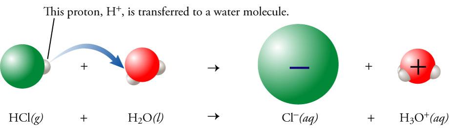 Strong Acid and Water When HCl dissolves in water,