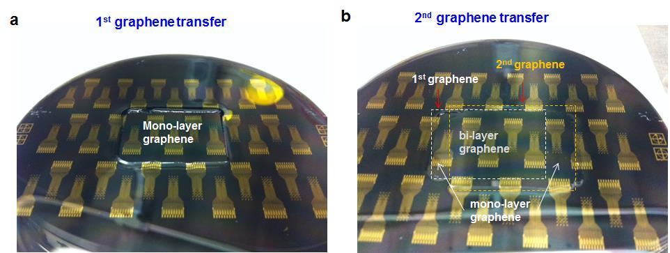 Supplementary figure 4 Graphene sheet transfer onto coated wafer Figure 4. Graphene sheets after transfer onto pre-processed wafer surfaces. a. Monolayer sheet after transfer onto a pre-processed Parylene-coated silicon wafer.