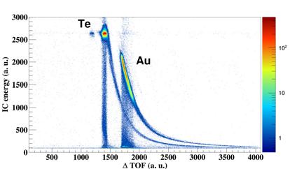 Figure 3: Mass distribution of tellurium isotopes at the focal plane of PRISMA measured in the 197 Au+ 130 Te reaction at E lab = 1070 MeV and θ lab =+37.