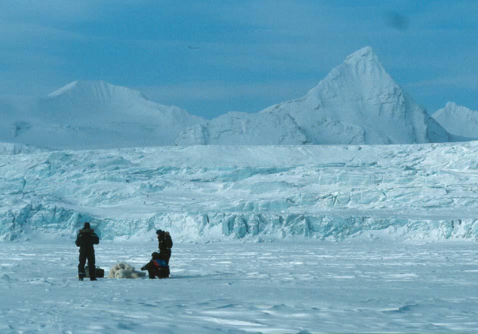 Females with small cubs use glacier