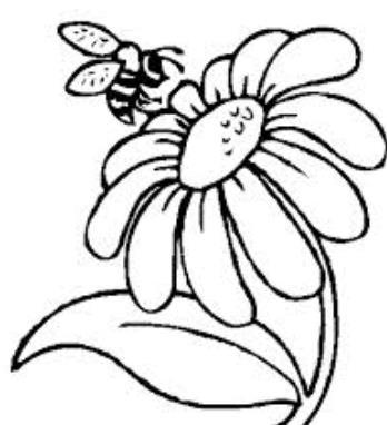spore 5. Which part of a plant helps to spread seeds when it is eaten by an animal? A. flower B. fruit C. leaf D. stem 6.