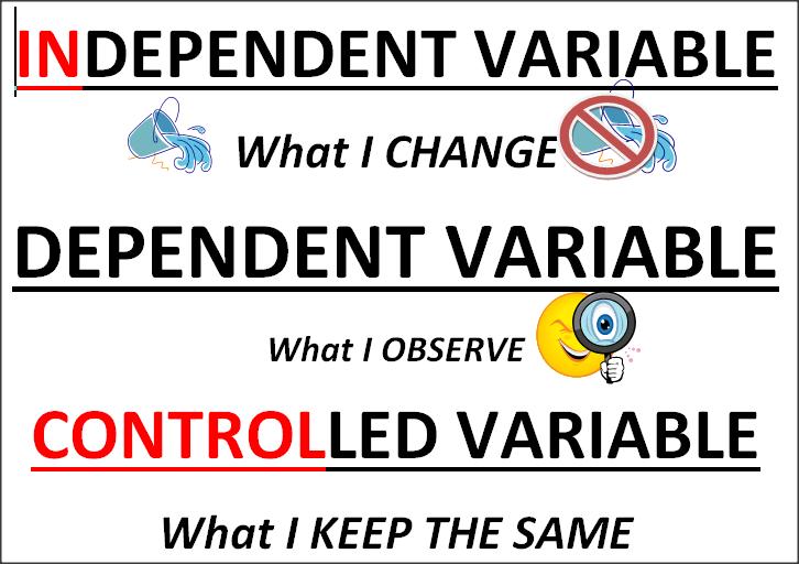 Control Groups and Variables The control group is used in an experiment as a way to ensure that your experiment actually works.