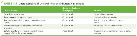 Virus Viruses (acellular microbes) Bacterium Viruses assembling inside cell