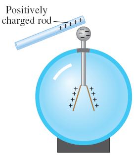16.2 Solution (b) When the positively charged rod is held near the bulb, the electroscope becomes polarized by induction.