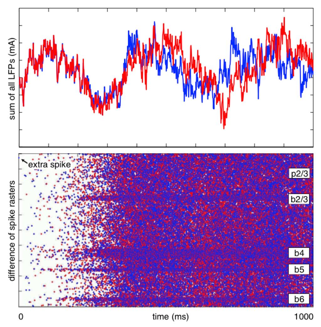 Dependence on initial conditions Simulation of 100,000 neurons: Effect of one additional activation at the beginning of the simulation -> divergent system