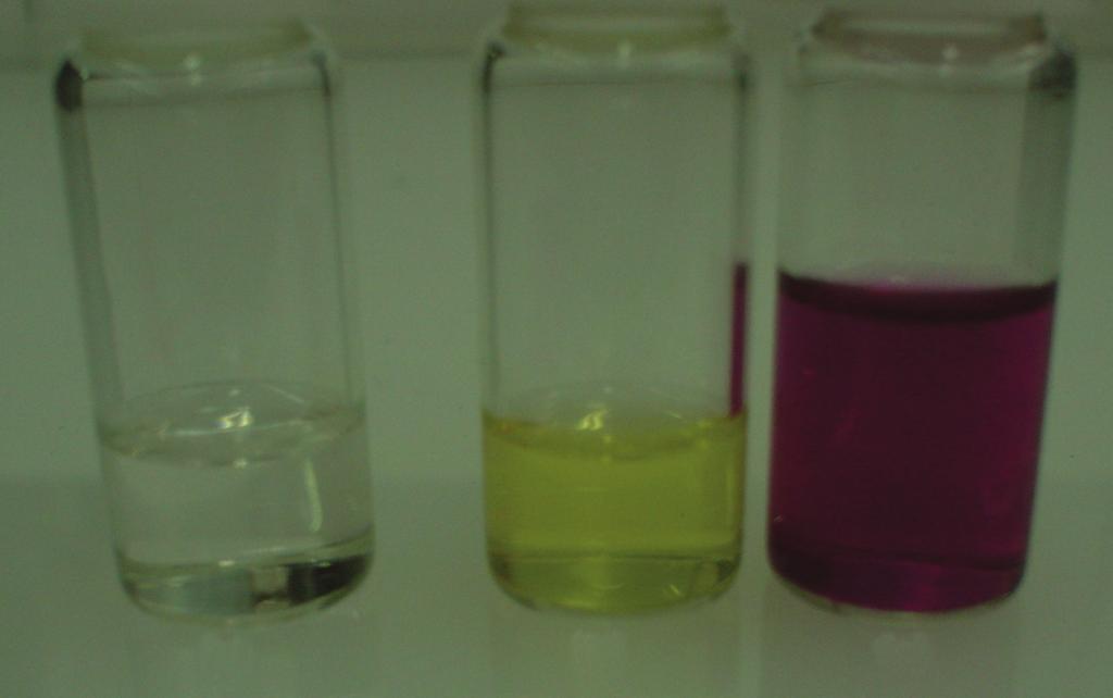 4 International Polymer Science (a) (b) (c) Figure 3: Color change of the tpy-peg-pleu solution caused by the complexation with metal ion. (a) Chloroform solution of tpy-peg- PLeu.