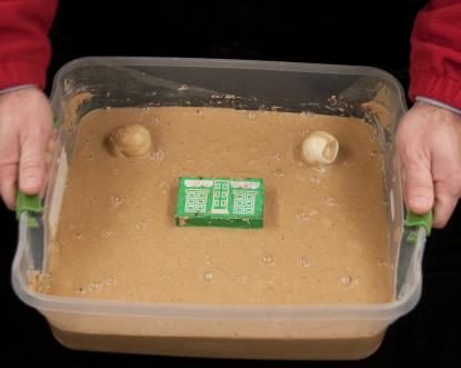 Procedure 1. Fill the container with playground sand to a depth of at least 2.5 inches. 2. Pour water into the container to moisten the sand grains completely, without flooding the surface of the sand.