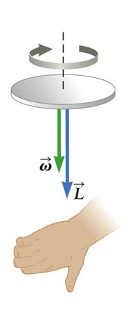 Review: Angular Momentum q A particle s angular momentum relative to a chosen origin is defined as L rxp L is a vector. Angular momentum is always defined w.r.t an origin*.