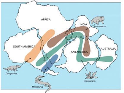 The theories of continental drift and sea-floor spreading combined to make the theory of. A. rejoined continents B. Pangaea C. plate tectonics D.