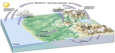 STREAM SYSTEMS and FLOODS The Hydrologic Cycle Precipitation Evaporation Infiltration Earth s Water and the Hydrologic Cycle Runoff Transpiration The Hydrologic