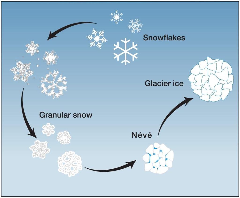 Glacial formation -Requires accumulation of snow (more snowfall in the winter than