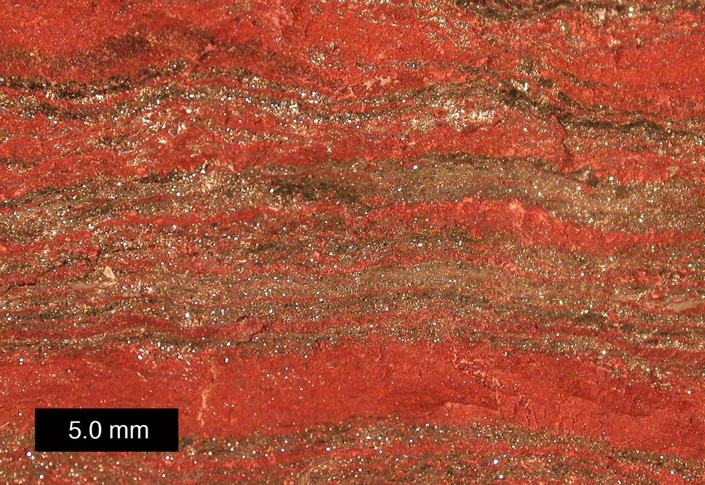 Today: Additional geological evidence for the snowball Earth [1]Banded iron-formations (BIFs): anoxic condition.