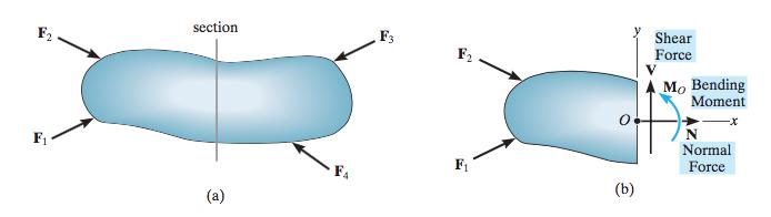 Internal Forces 2D Normal force, N, acts perpendicular to the area Shear Force, V, acts along a plane, causing two segments to