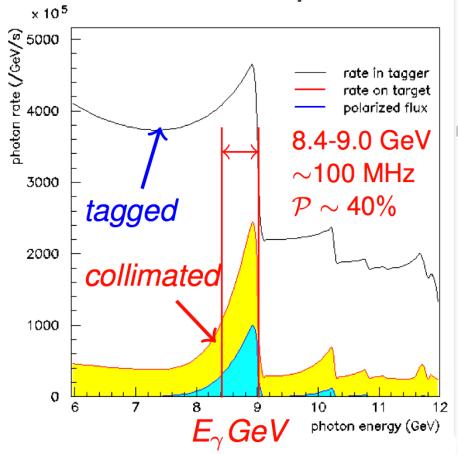 0 GeV γ s in the coherent peak (3.0-11.