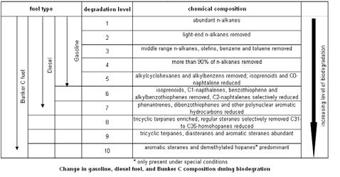 Fig. 2 Chromatograms of gasoline and diesel standards Once in the environment spilled crude oil or petroleum products are subject to a series of physical (e.g., evaporation, emulsification, natural dispersion, dissolution and sorption), chemical (e.