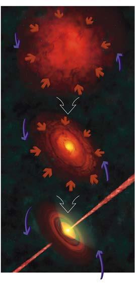 Star Formation As the protostar collapses,