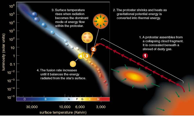 The mass of the protostar determines: how