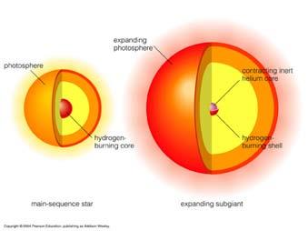 Leaving the Main Sequence The core begins to collapse H shell heats up and H fusion begins there there is