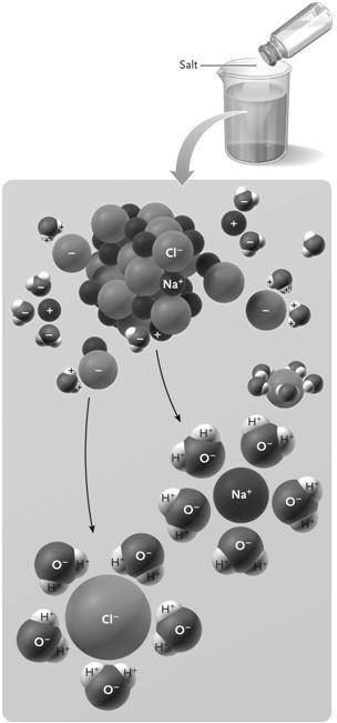 59. When salt dissolves in water as illustrated in the figure above, the water molecules form around the Na