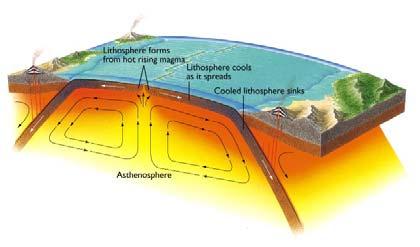 Convection within the Earth The Lithosphere is created at spreading centers It is destroyed at Trenches (Subduction Zones) Upper Mantle