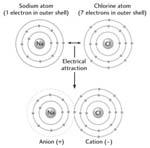 Salt Ionic bond one ion takes away the other ions electron Diamond Covalent bond