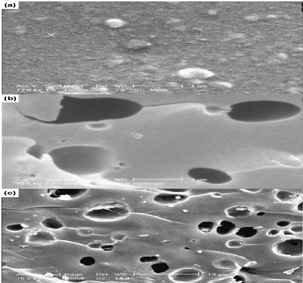 Synthesis of a Biocopolymer Carrageenan-g-Poly(AAm-co-IA)/Montmorilonite Superabsorbent Hydrogel Composite 299 Scanning Electron Microscopy ne of the most important properties that must be considered