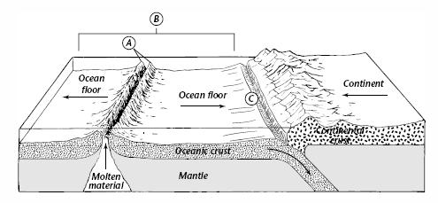 Questions: 1. Name and describe the feature of the ocean floor shown at A. 2. Describe the process shown occurring at B, and explain what results from this. 3.