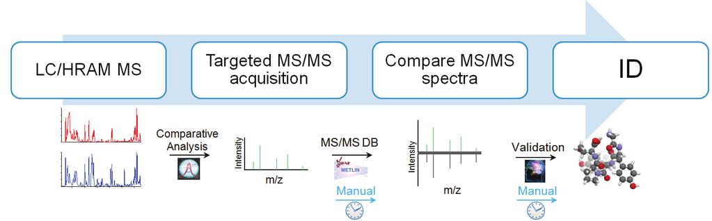 Identification is usually based on accurate mass and MS 2, but a large number of LC peaks remain not identifiable.