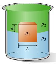 A beaker contains a thick layer of oil of density ρ2 floating on water, which has density ρ3.
