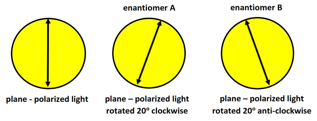 The plane of the plane-polarized light is rotated which then passes through the analyser.