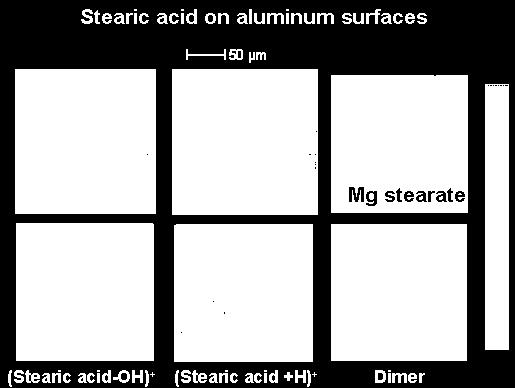 acid are revealed by secondary