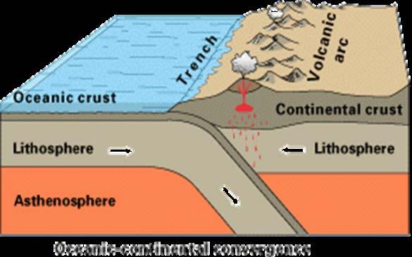 TWO TYPES OF PLATES: : Underneath oceans, about 4-7 miles thick and thin, but dense.