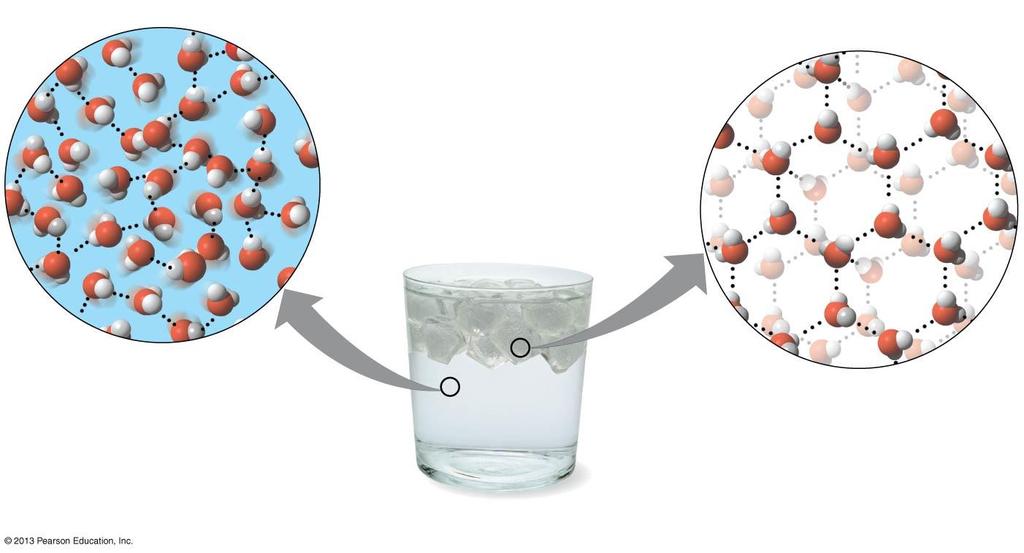 14 When water molecules get cold enough, they move apart, forming ice. ydrogen bond A chunk of ice has fewer water molecules than an equal volume of liquid water.