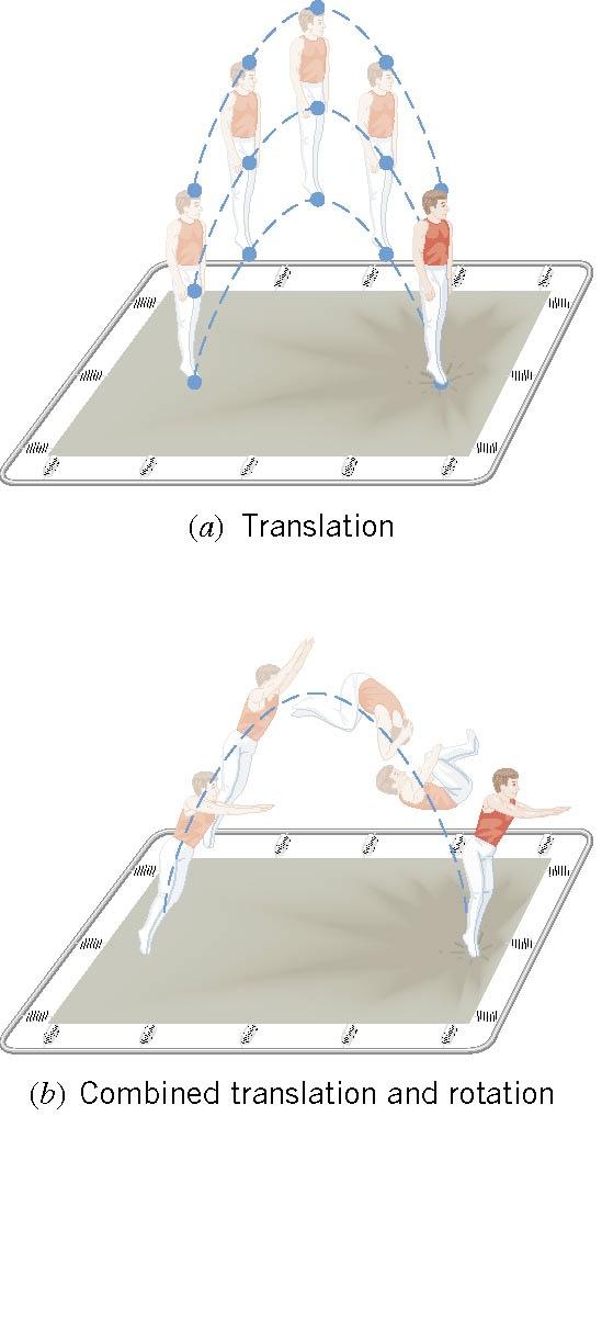 In pure translational motion, all points on an object travel on parallel