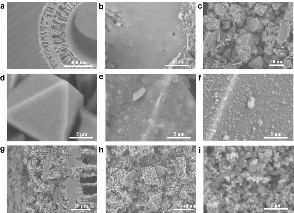 Supplementary Figure 16. SEM images of the membranes. a,b, Cross section and c top view SEM images of the dense transformed CuBTC/MIL-100 membrane.