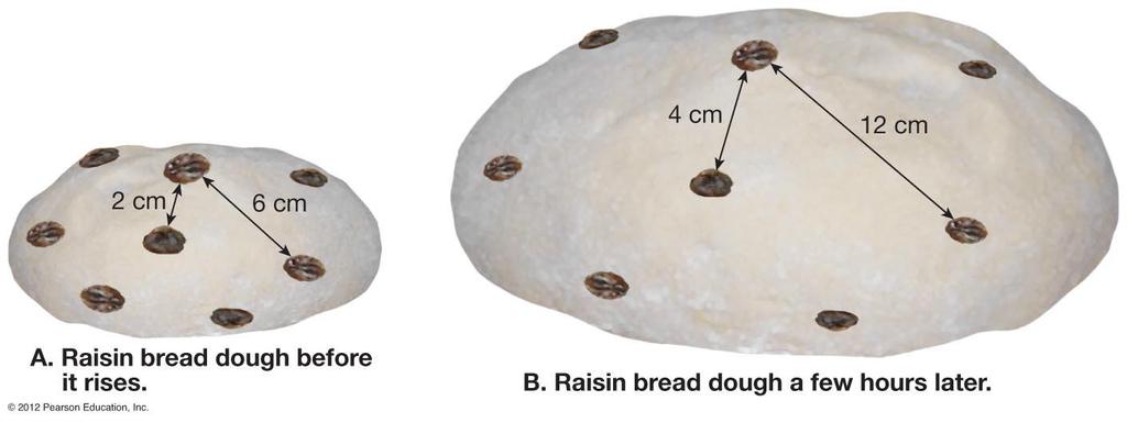 Raisin bread analogy