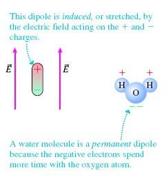Dipole Moment Charge separation Positive