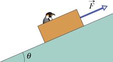 Example 4: A loaded penguin sled weighing 80 N ests on a plane inclined at angle θ= 0 to the hoizontal. Between the sled and the plane, the coefficient of static fiction is 0.