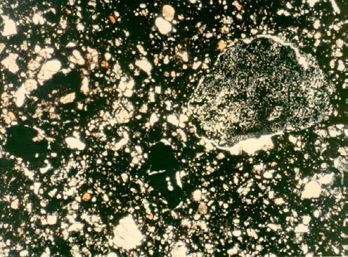 Figure 3: Transmitted light photomicrograph of thin section 10019,2 showing fine matrix with broken orange glass beads and rock clasts. Field of view is 2.5 mm. NASA# S70-19237.