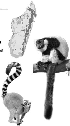 Evidence Lemurs are endemic to the island of Madagascar distribution Basic principle-- each plant and animal species originated