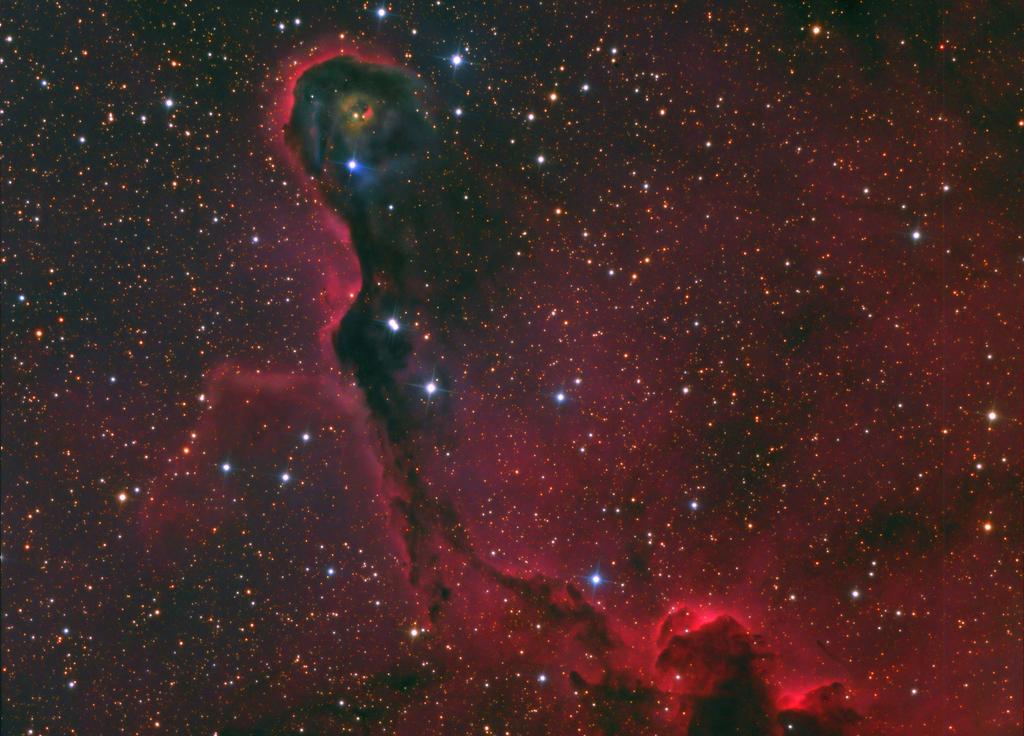 IC 1396 in