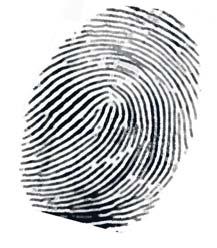 Multielement Spectral Fingerprinting Capability When comparative studies are required, such as in Forensic Science, it can be very useful to use spectral fingerprinting.