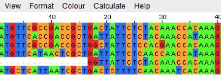Regions of difference remain white. 14. From the Colour menu select Nucleotide. This is another color coding approach which highlights each base as a different color, as shown in Figure 7.
