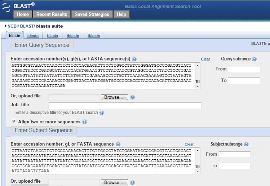 Figure 10: Entering Sequences into BLAST to Make a Phylogenetic Tree. Source: NCBI BLAST. Figure 11: Use the Somewhat similar sequences (blastn) Option to Compare Sequences. Source: NCBI BLAST. Using Bioinformatics: Genetic Research 27.