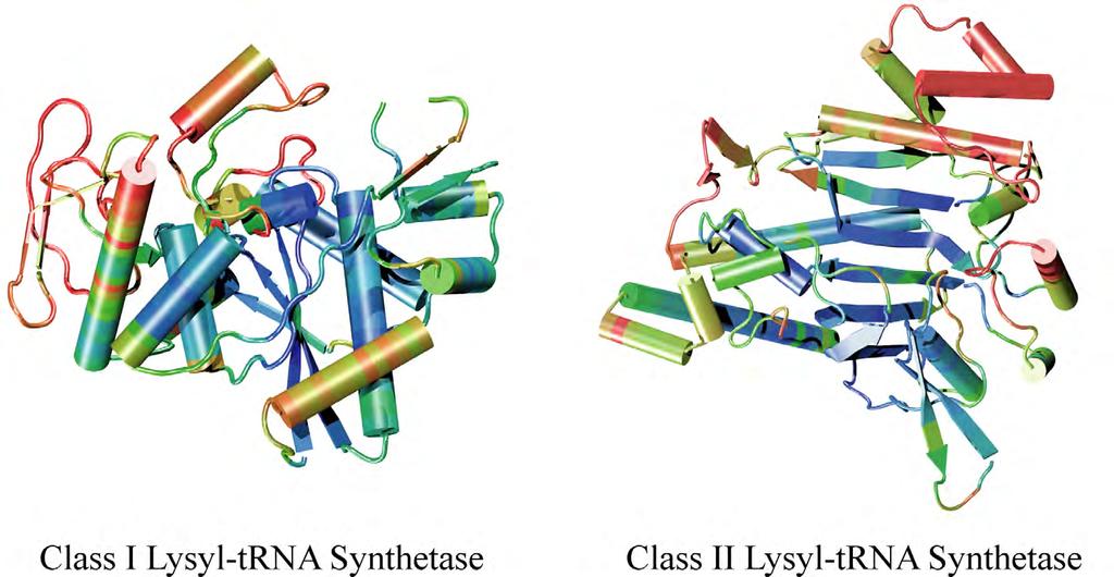 Protein structure reveals distant