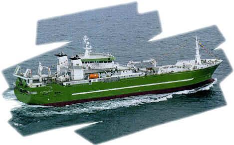 One of the world s largest fishing vessels MFV Atlantic Dawn 144m length / 24m width Vessel cost: $80