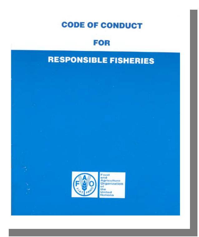 Specific instruments in fisheries Twenty years on from