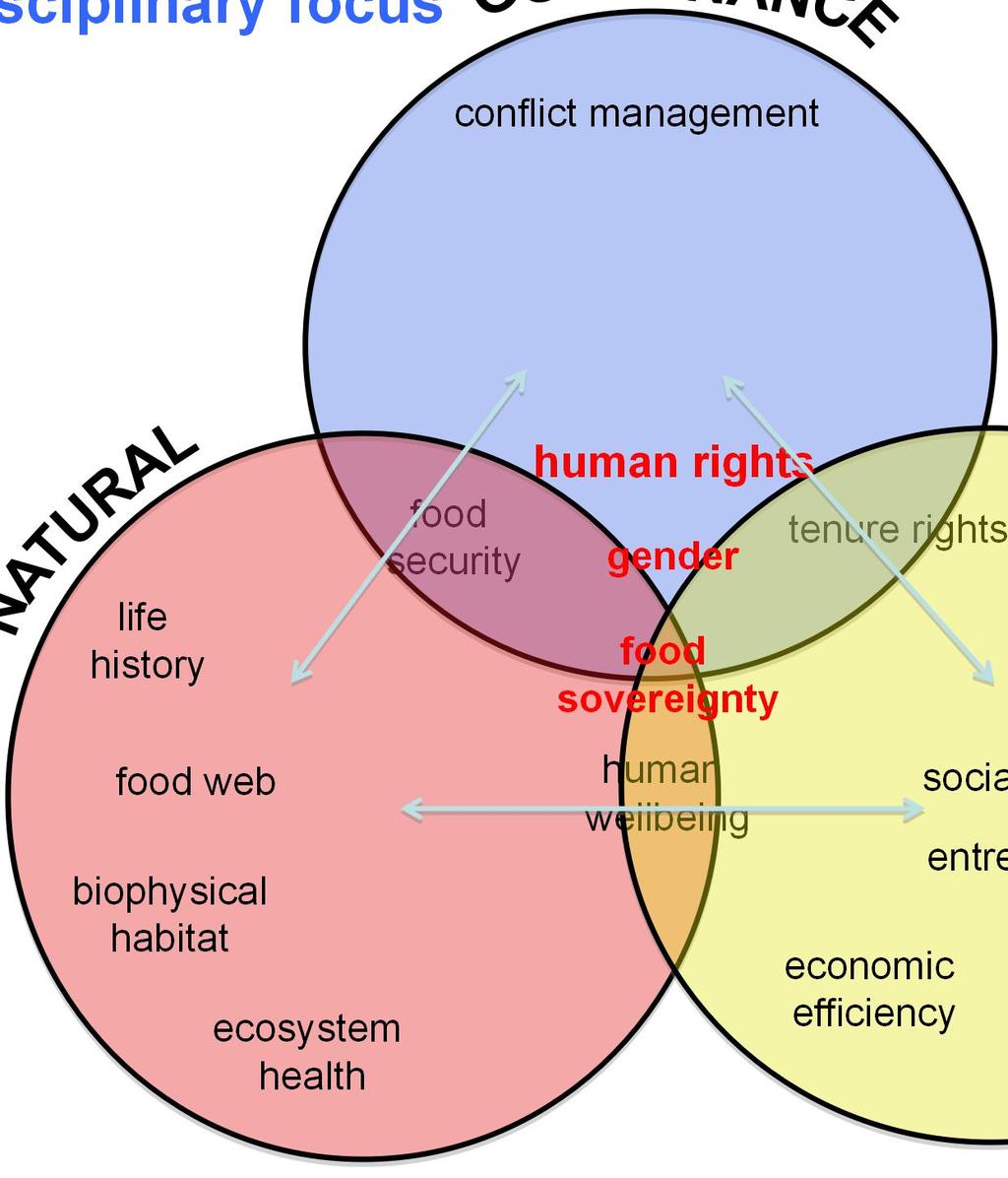 Interdisciplinary focus conflict